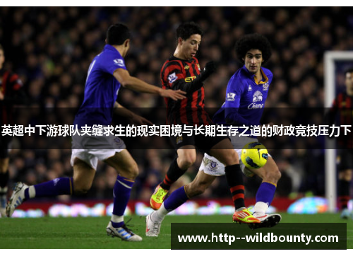英超中下游球队夹缝求生的现实困境与长期生存之道的财政竞技压力下 英超中下游球队夹缝求生的现实困境与长期生存之道的财政竞技压力下