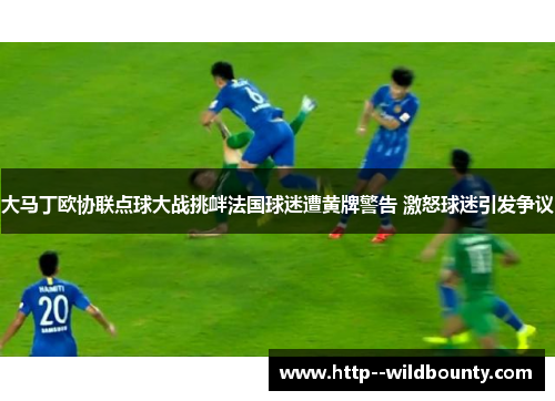 大马丁欧协联点球大战挑衅法国球迷遭黄牌警告 激怒球迷引发争议